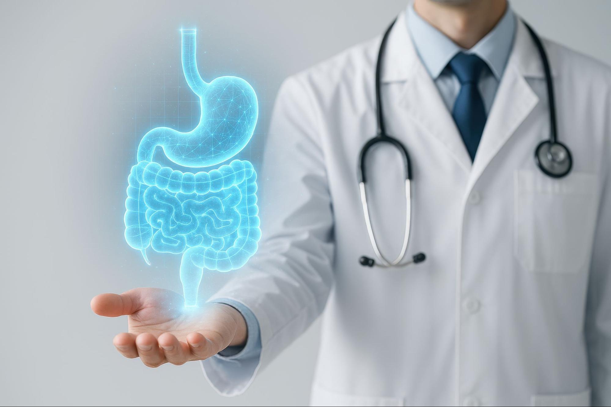 胃と大腸をCGで表現したイラスト